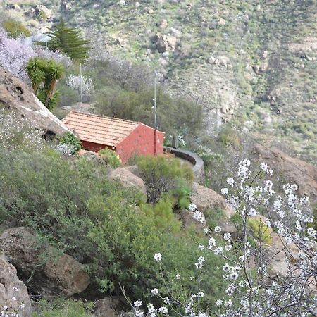 Casa Cueva El Pedregal Tejeda Villa Ngoại thất bức ảnh