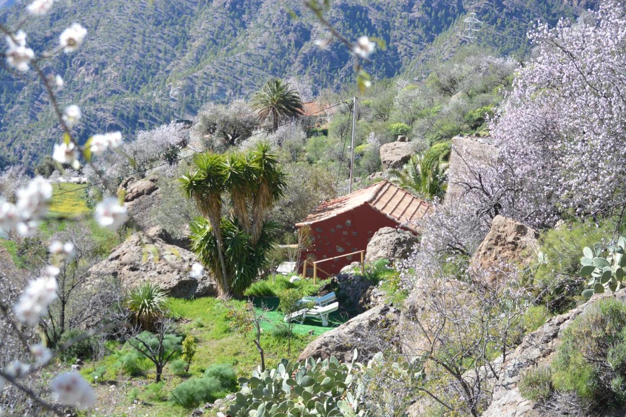 Casa Cueva El Pedregal Tejeda Villa Ngoại thất bức ảnh