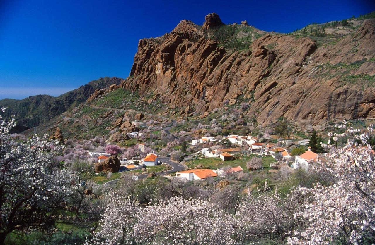Casa Cueva El Pedregal Tejeda Villa Ngoại thất bức ảnh